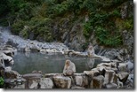 野猿公苑温泉