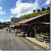 道の駅 ながら