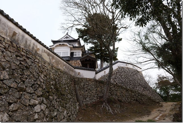 本丸石垣・土塀と天守