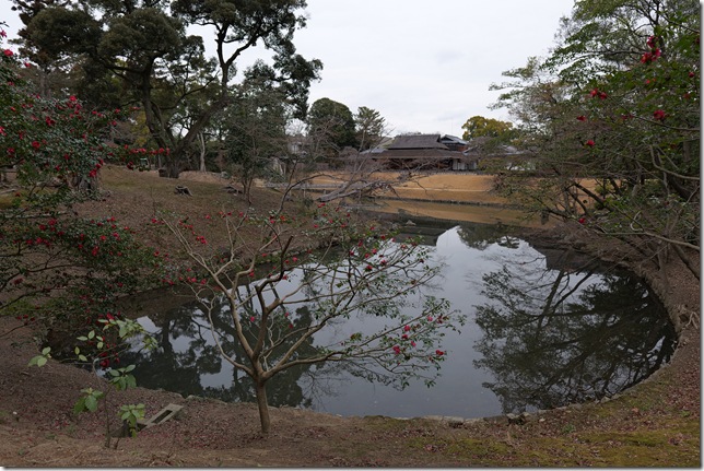 花葉の池