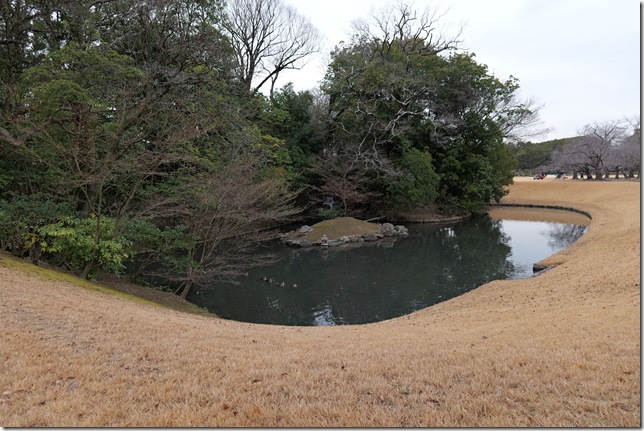 花交の池