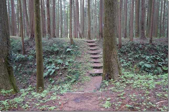 空堀（本丸-古本丸）