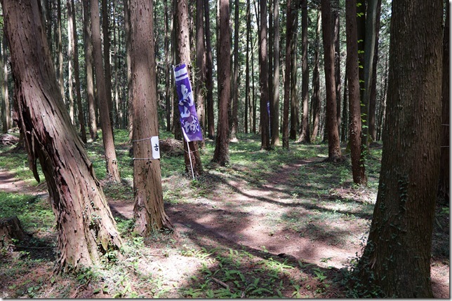古本丸