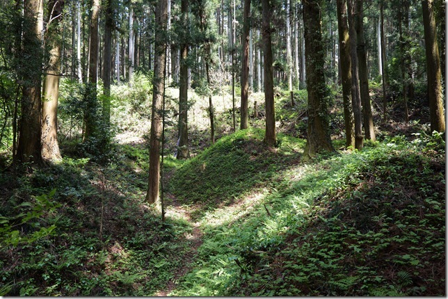 空堀（西城北側）