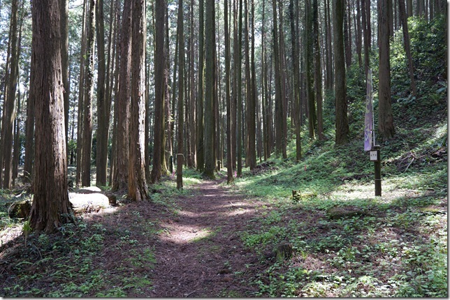 桜門跡