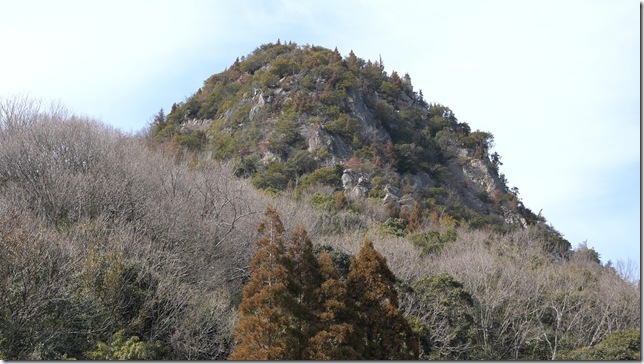 新高山城