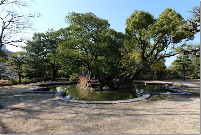 桜の池