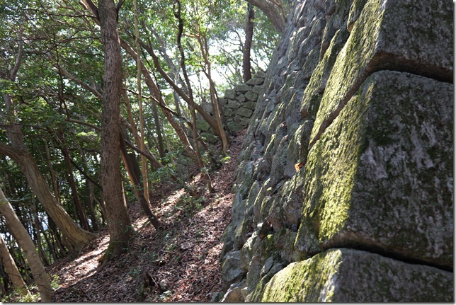 北の丸下石垣