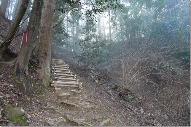 登城道（井戸の壇・御蔵屋敷下）