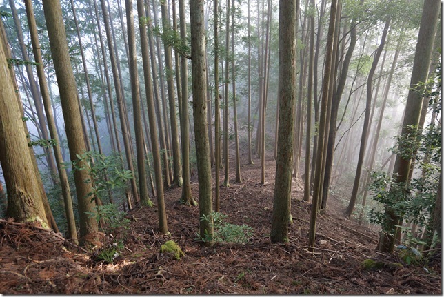 釜屋の壇