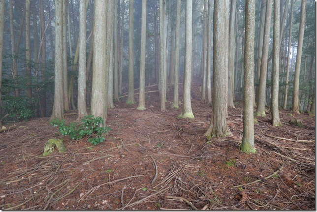 厩の壇