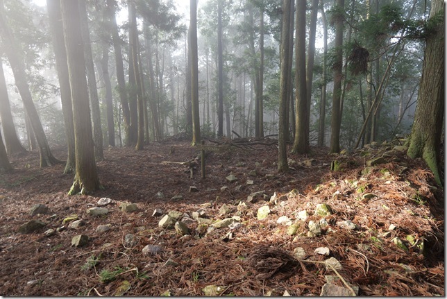 三の丸（南段）・石塁跡