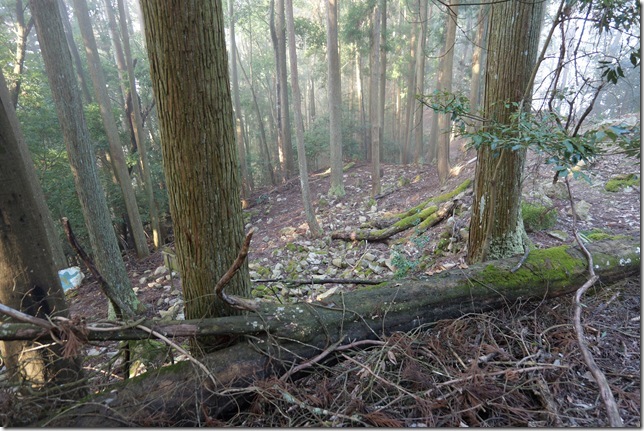 三の丸石垣跡