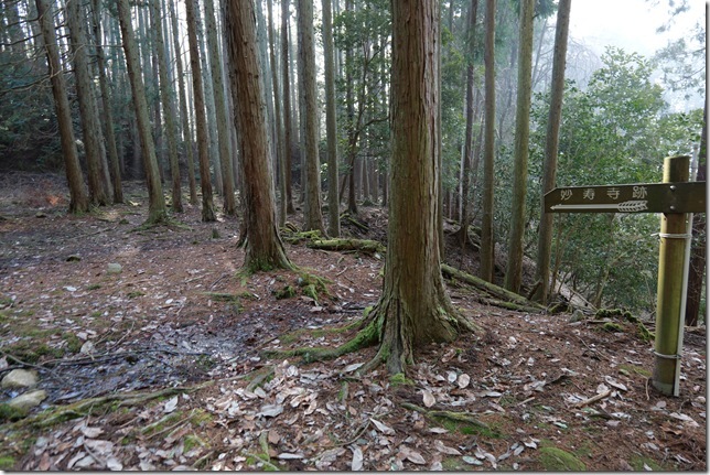 満願寺跡