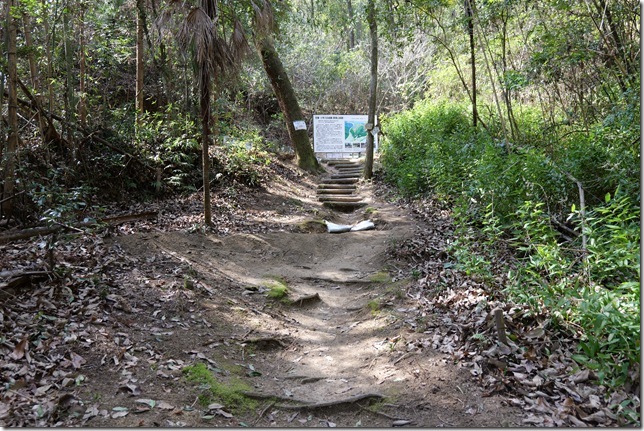 登城道