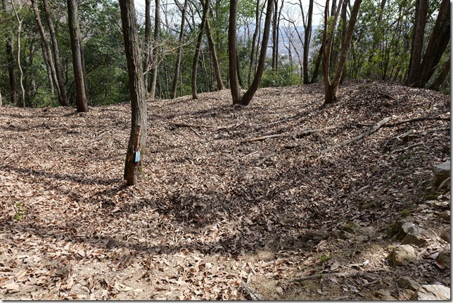 番所跡（軽石の段）