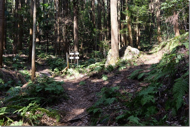 登城道