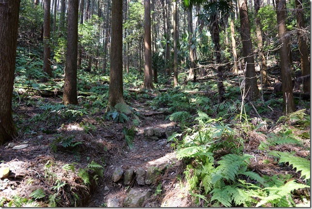 登城道