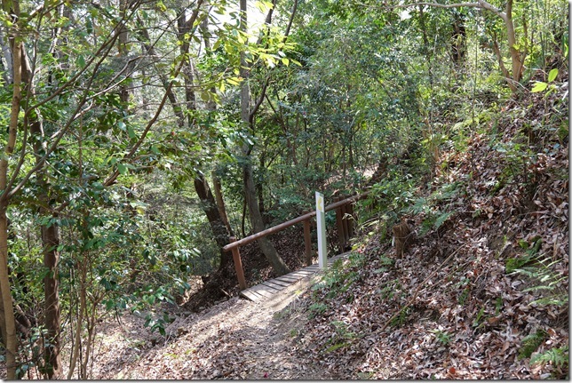 分岐
