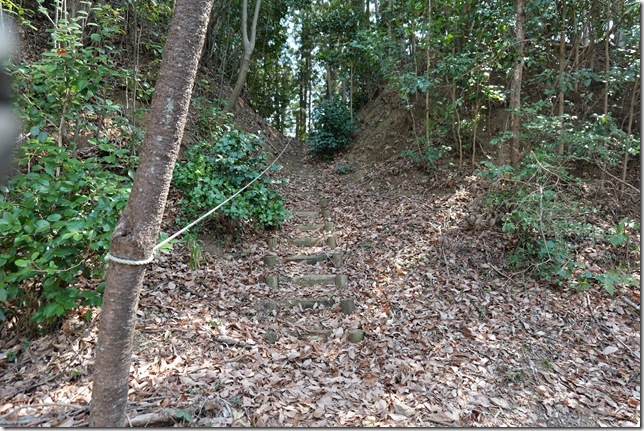 堀切（西の郭北側）