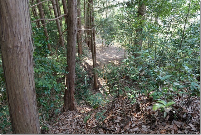 堀切（西の郭北側）