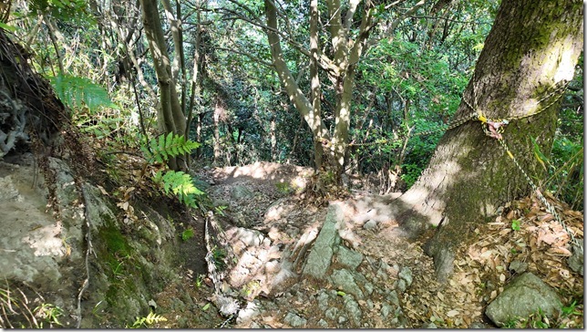 Ⅲ郭北側山道