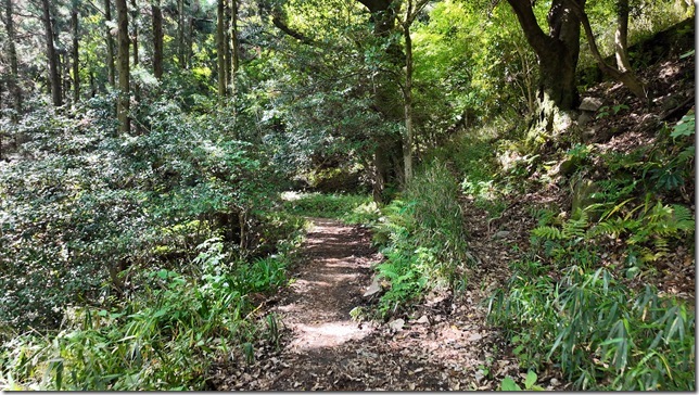 Ⅲ郭へつながる山道（右）