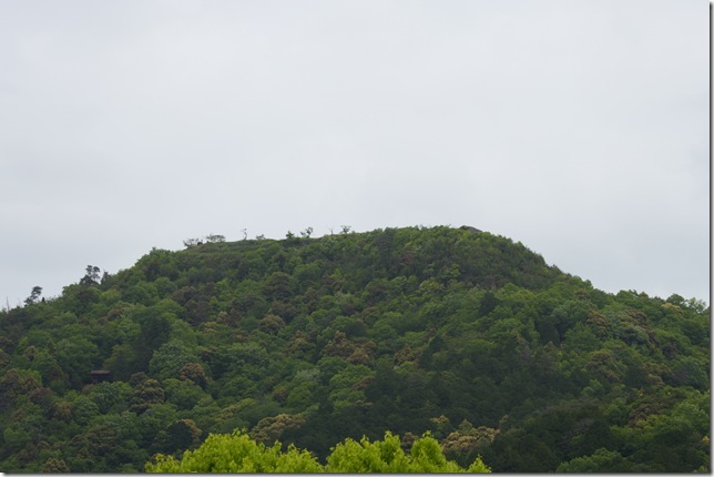 黒井城