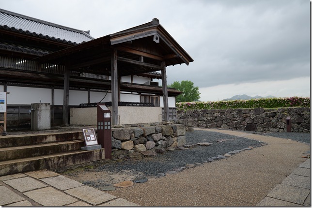 井戸