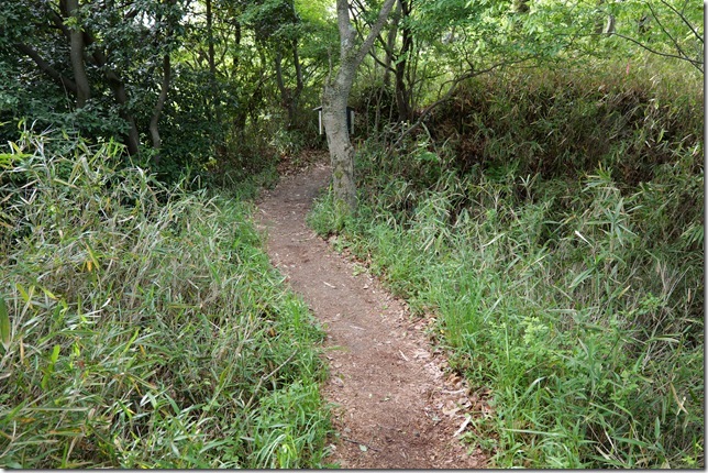 堀切と土橋