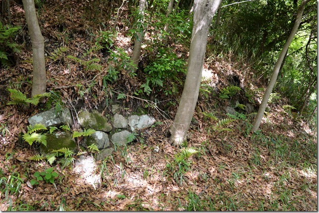 石垣4