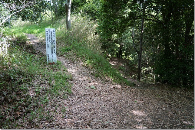 旧道新道分岐