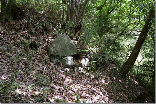 石垣30