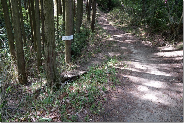 「桜池・野外活動センター」の道標