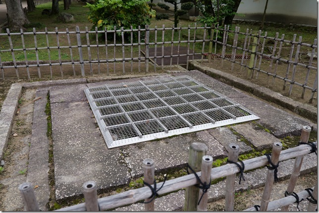 井戸