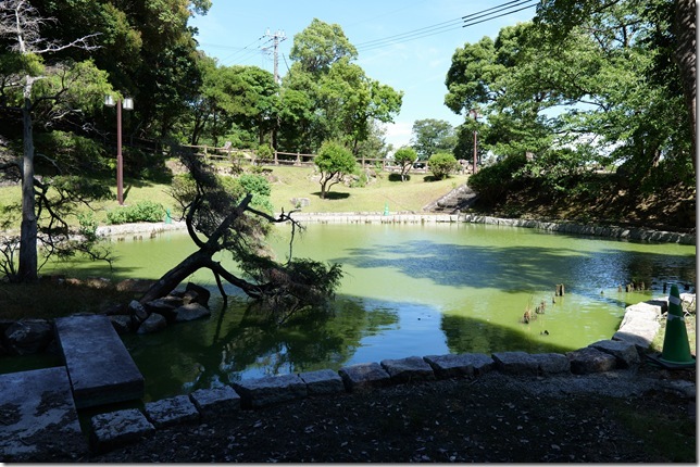 日月の池