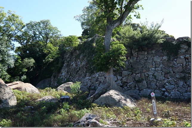 東の丸高石垣