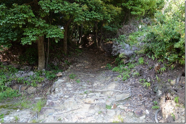 東の丸北側へ