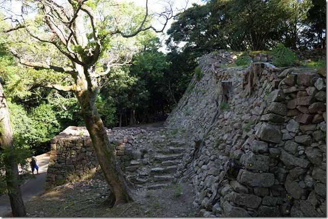 南の丸隅櫓跡