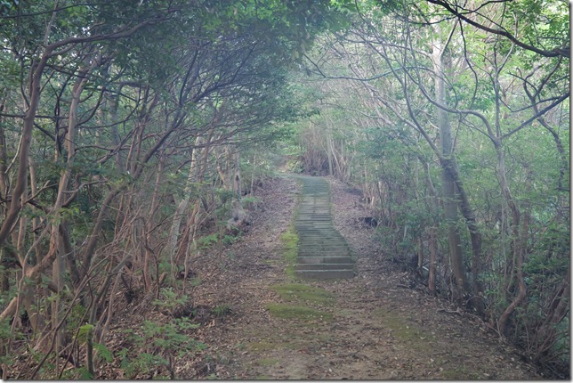 登城道