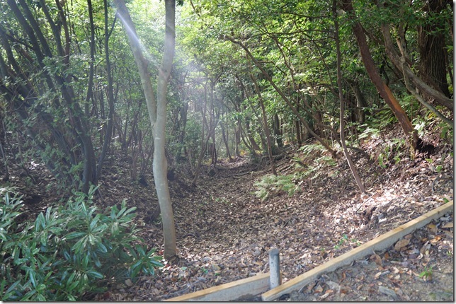 竪堀