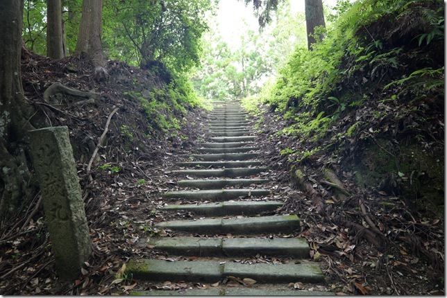 才蔵丸虎口