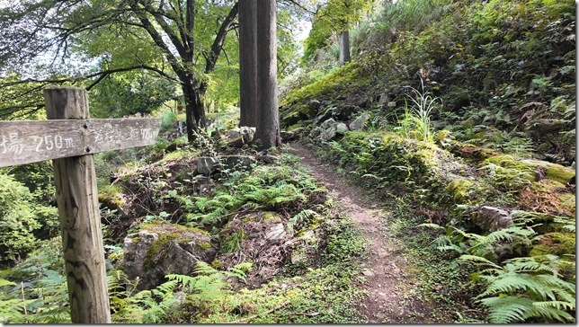 枡形虎口（六角石垣方面）