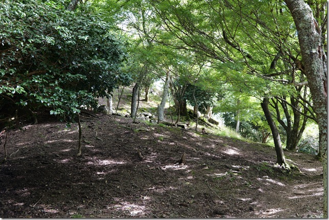 山頂部へ