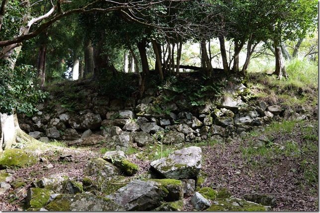 ホウヅキ段石垣