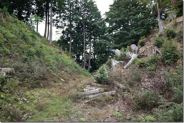 P1012734