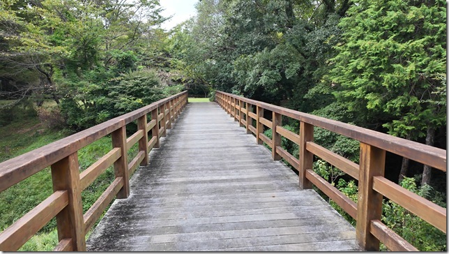 薬研堀上の木橋