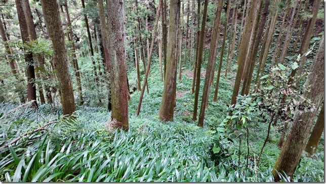 馬洗場