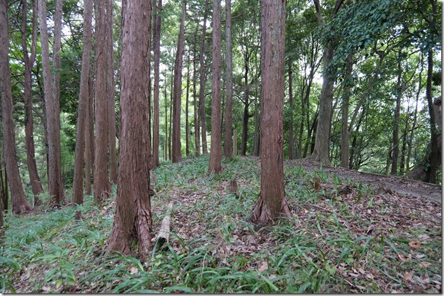 北郭