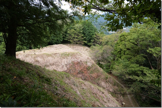 小郭・茶臼郭